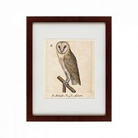 картина: one owl, 1560 в Барнауле