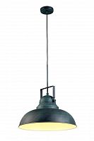 подвесной светильник arte lamp martin a5213sp-1bg в Барнауле