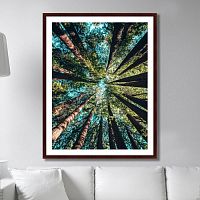 картина: deep forest в Барнауле