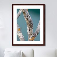 картина: trees on the galapagos islands, ecuador no3 в Барнауле