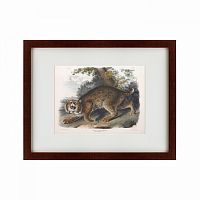 картина: bobcat, 1839 в Барнауле