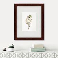 картина: pear tree flowers (pyrus calleryana), 1830 в Барнауле