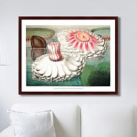 картина: water lily during bloom, 1870г. в Барнауле