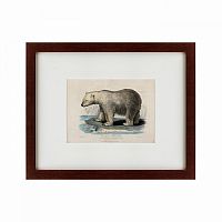 картина: white polar bear on an ice, 1830 в Барнауле