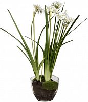 декор allium в Барнауле