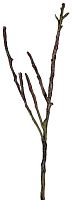 декор dry branches в Барнауле