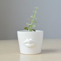 набор для выращивания eco мини-кашпо «губы» в Барнауле