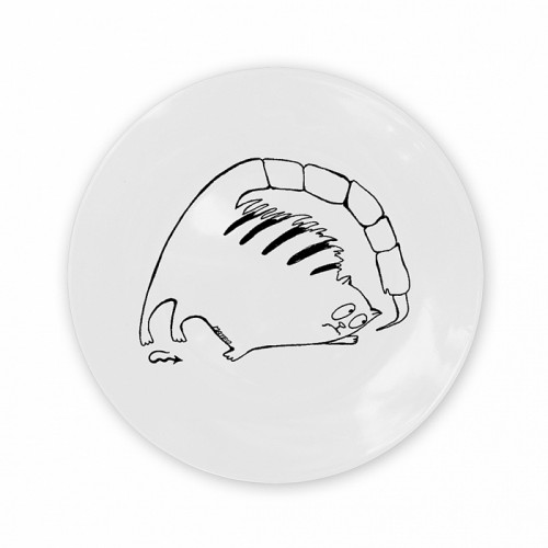 тарелка кот-скорпион в Барнауле