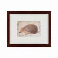 картина: a hedgehog, 1584 в Барнауле