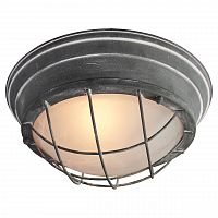 потолочный светильник lussole loft lsp-9881 в Барнауле