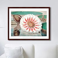 картина: a gigantic water lily in bloom, 1870г. в Барнауле