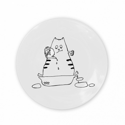 тарелка кот-водолей в Барнауле
