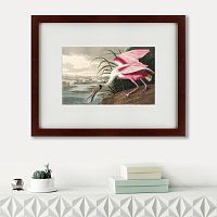 картина: roseate spoonbill, 1827 в Барнауле