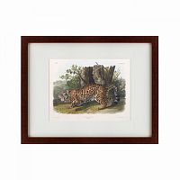 картина: jaguar, 1841 в Барнауле