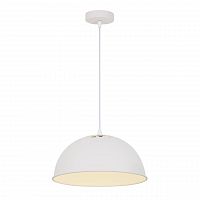 подвесной светильник arte lamp buratto a8173sp-1wh в Барнауле