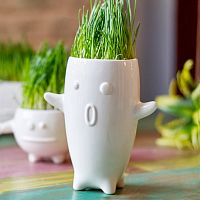 ваза eco тиль в Барнауле