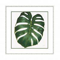 постер monstera зеленый в Барнауле