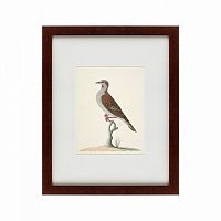 картина: the brown bird в Барнауле