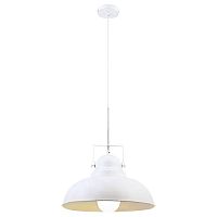 подвесной светильник arte lamp martin a5213sp-1wg в Барнауле