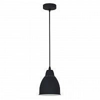 подвесной светильник arte lamp braccio a2054sp-1bk в Барнауле