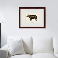 картина: rhinoceros ancienne gravure, 1849 в Барнауле
