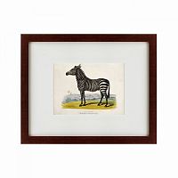 картина: a zebra, 1830 в Барнауле