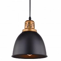 подвесной светильник arte lamp eurica a4245sp-1bk в Барнауле