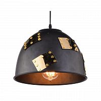 подвесной светильник arte lamp eurica a6023sp-1bk в Барнауле