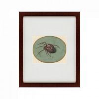 картина: spider, 1690 в Барнауле
