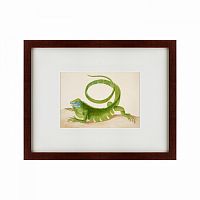 картина: green iguana, 1701 в Барнауле