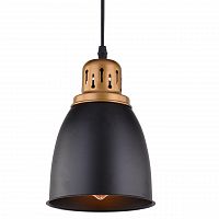 подвесной светильник arte lamp eurica a4248sp-1bk в Барнауле