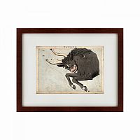картина: signs of zodiac taurus, 1825 в Барнауле