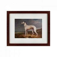 картина: portrait of a greyhound, 1744 в Барнауле
