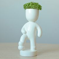 набор для выращивания eco футболист в Барнауле