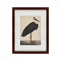 картина: black stork in a landscape, индия, 1780 в Барнауле