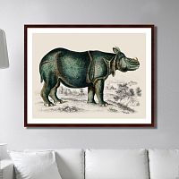 картина: rhinoceros, 1774г. в Барнауле