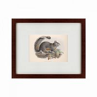 картина: the squirrel, 1879 в Барнауле
