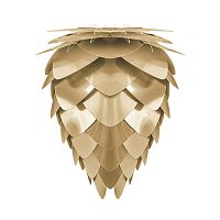 плафон conia brushed brass в Барнауле