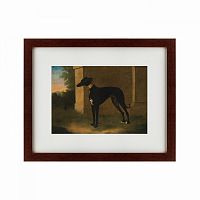 картина: portrait of a greyhound called pompon, 1746 в Барнауле