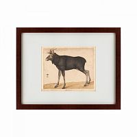 картина: moose, 1560 в Барнауле