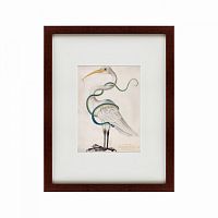 картина: heron encircled by a snake, 1700 в Барнауле
