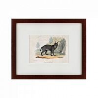 картина: a caracal or lynx, 1830 в Барнауле