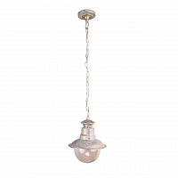 уличный подвесной светильник arte lamp amsterdam a1523so-1wg в Барнауле